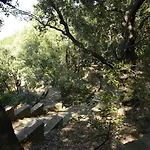 Attico Bella Vista *